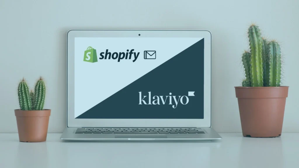 How to Connect Klaviyo to Shopify: Complete Setup Guide 5 How to Connect Klaviyo to Shopify
