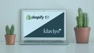 Blogs 5 How to Connect Klaviyo to Shopify